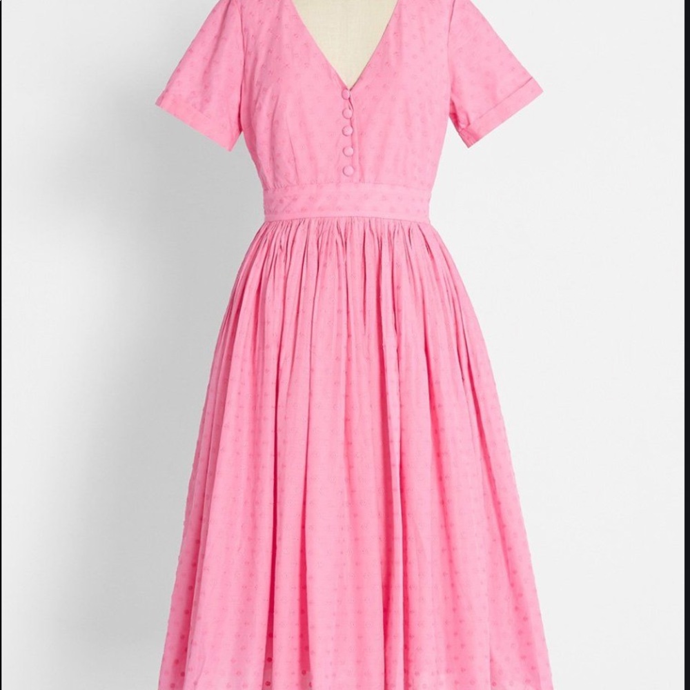 Fabulous Fit and Flare Dress